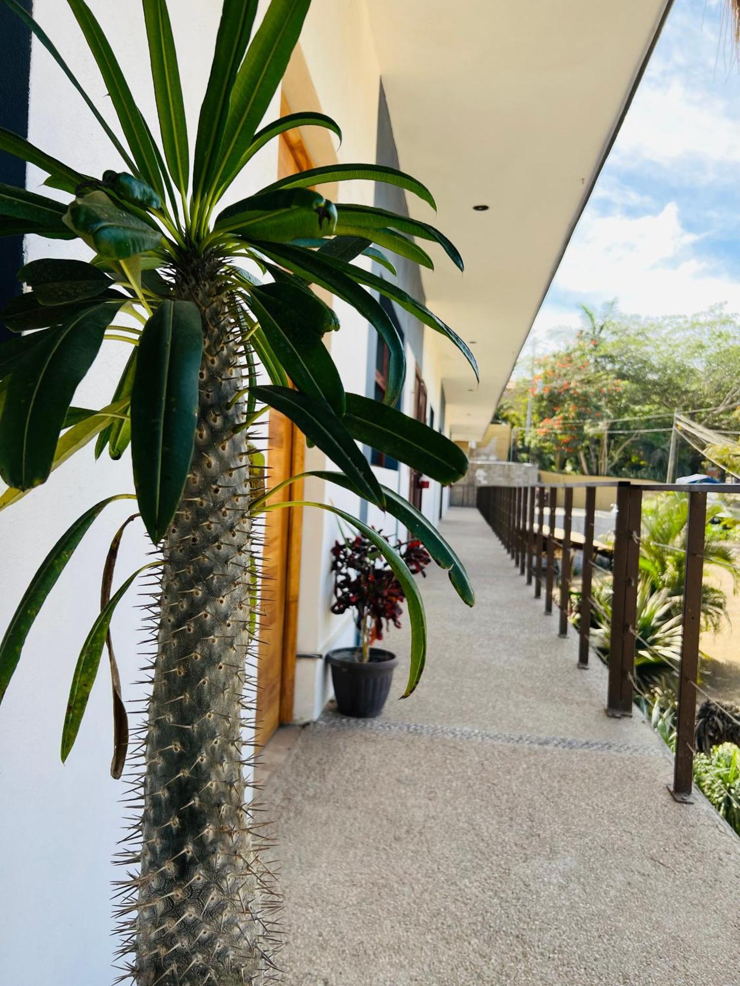 Hotel Samanu Sayulita Bagian luar foto